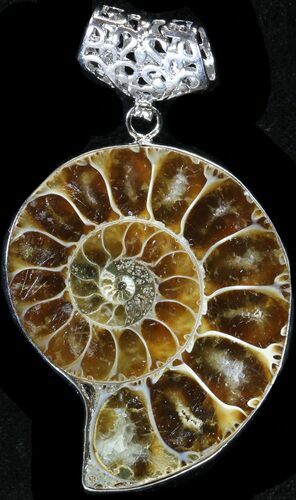 Fossil Ammonite Pendant - Million Years Old #37943